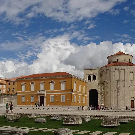 Pane * Zadar